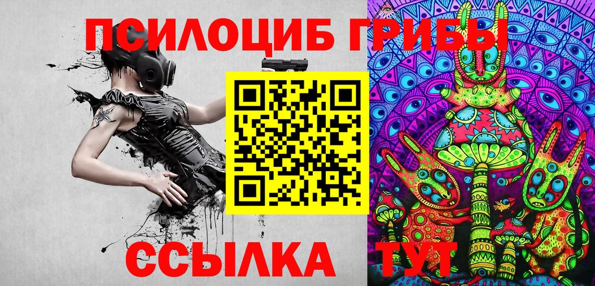 Псилоцибиновые грибы Cubensis  Тында  Галлюциногенные грибы Psilocybine cubensis 