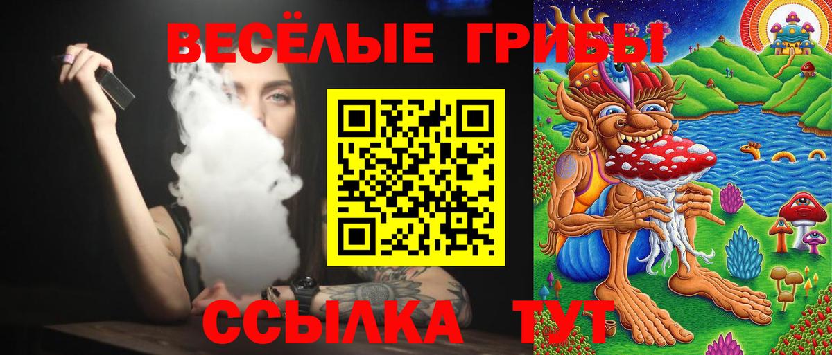 Галлюциногенные грибы Cubensis  Вход с VPN  Тында 