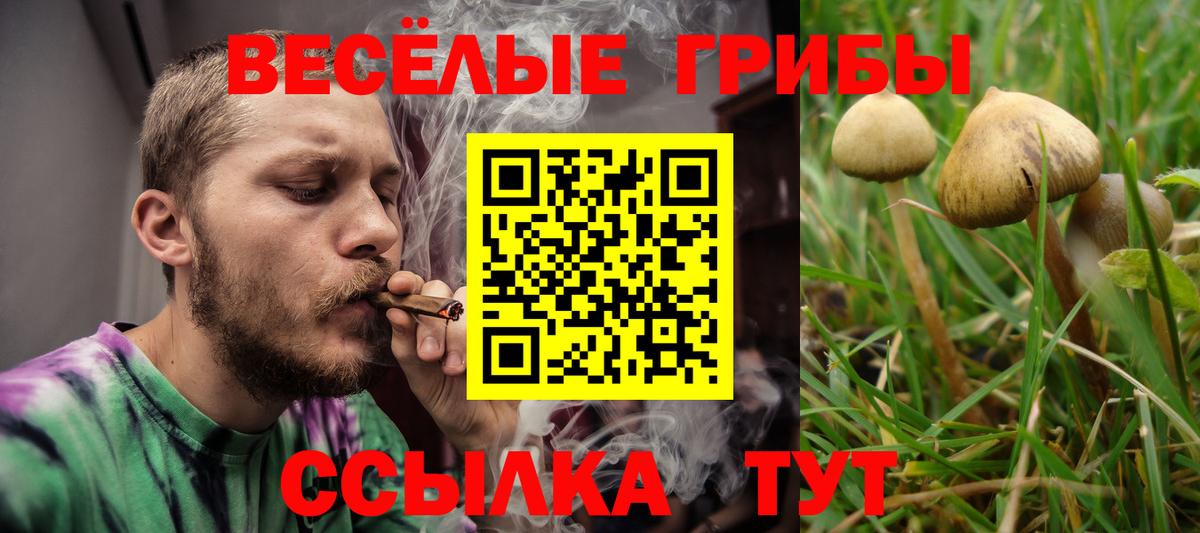 Галлюциногенные грибы MAGIC MUSHROOMS Тында